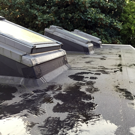 Image Firestone EPDM fitted to roof with three Velux windows